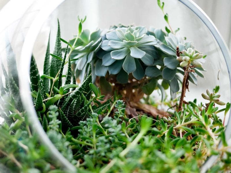 Candid Moments Photo